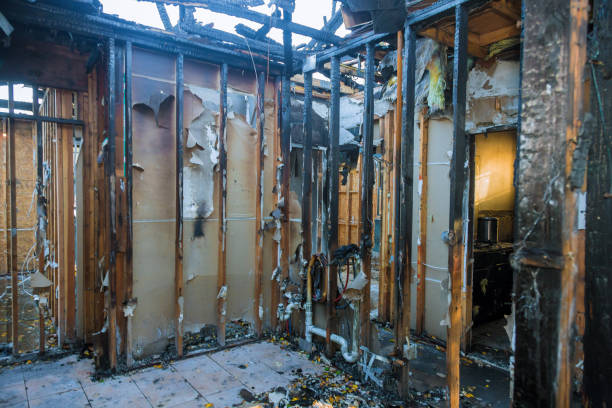 Professional Smoke Damage Removal technician working in Westville, NJ