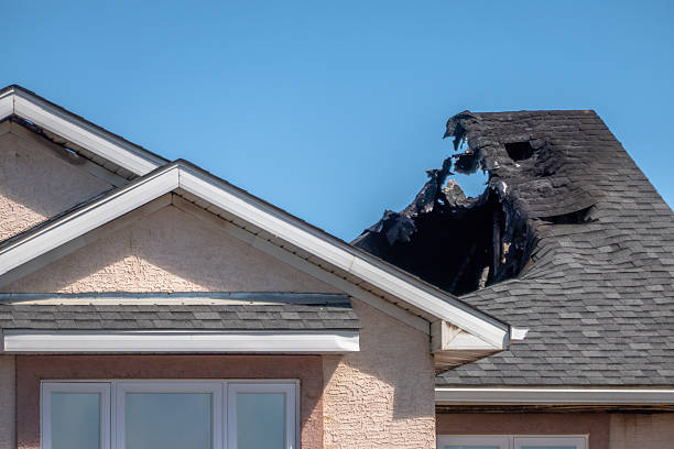 Top rated local Smoke Damage Removal specialists in Westville, NJ